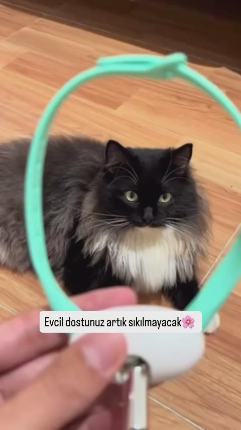Otomatik Lazer Oyun Tasması