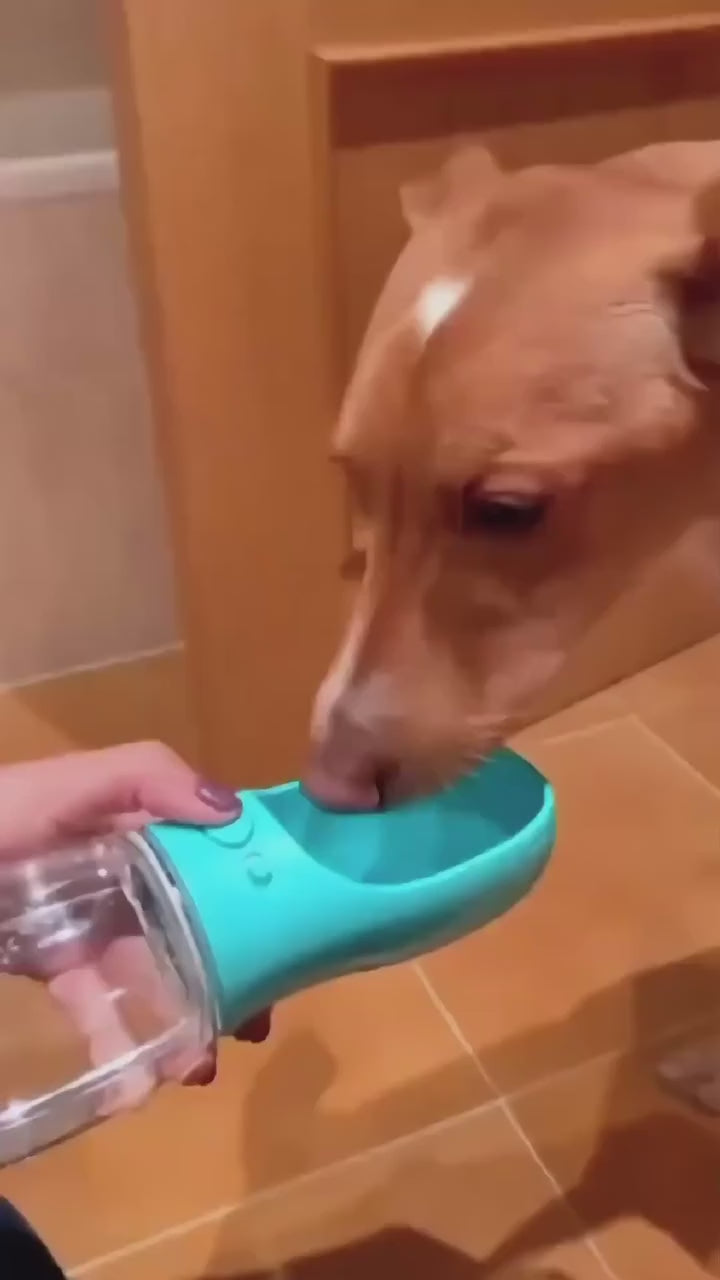 Taşınabilir Köpek Su Matarası